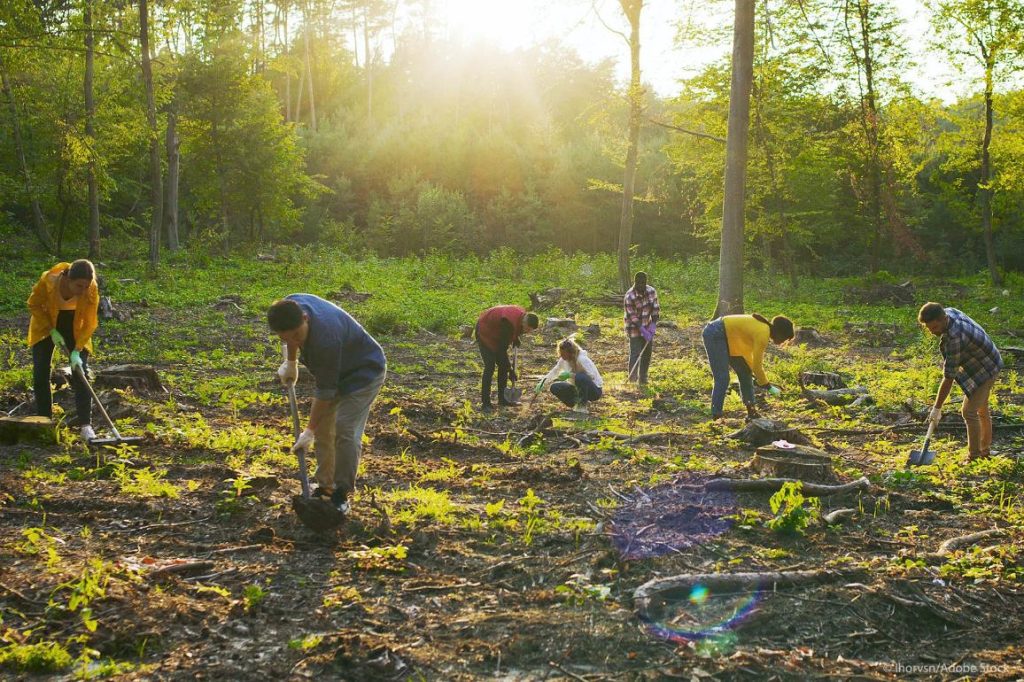 Ευρωπαϊκή πιστοποίηση για τις απορροφήσεις άνθρακα