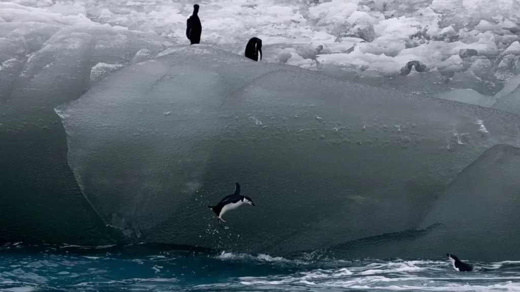Το μεγαλύτερο παγόβουνο στον κόσμο σε πορεία προς τα θερμότερα νερά