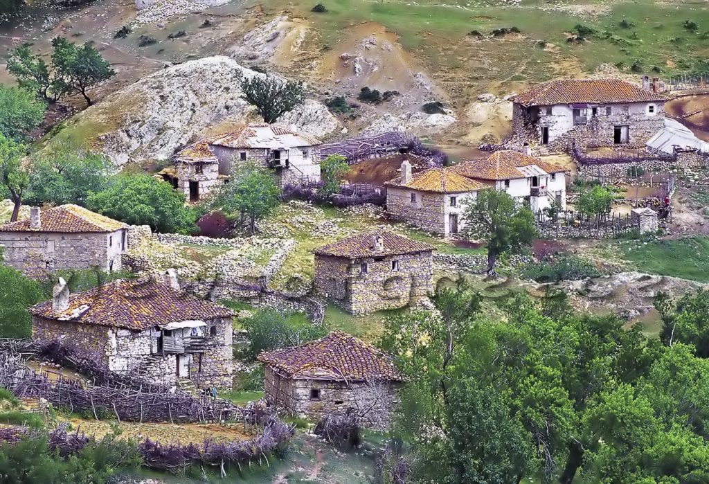 Σημάδια ανάκαμψης στην ορεινή Ροδόπη και το δάσος του Φρακτού εμφανίζει το απειλούμενο αγριόγιδο των βαλκανίων