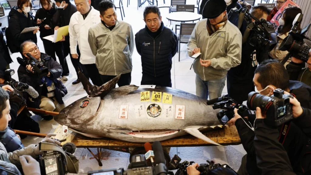 Η Σύνδεση της Βιώσιμης Ανάπτυξης με τις Ευθύνες των Δήμων και την Υπεραλίευση: Το Παράδειγμα του Τόνου Bluefin και της Αστικής Υποδομής
