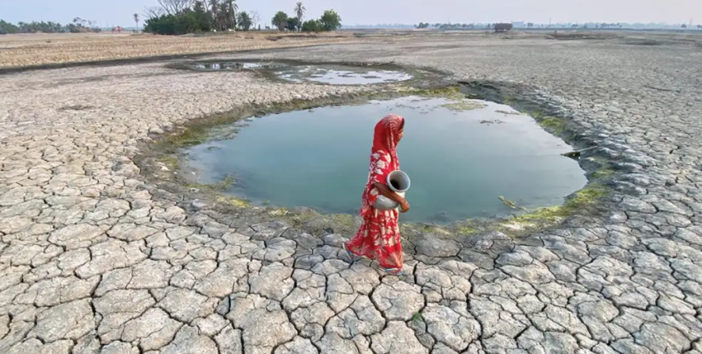 COP16: Το 51% των χωρών αδιαφορούν για τις δεσμεύσεις για το περιβάλλον