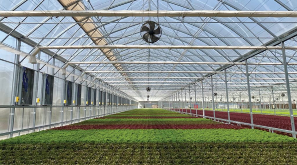 Ο «Μαγικός Κήπος» στο κάστρο Βοιωτίας