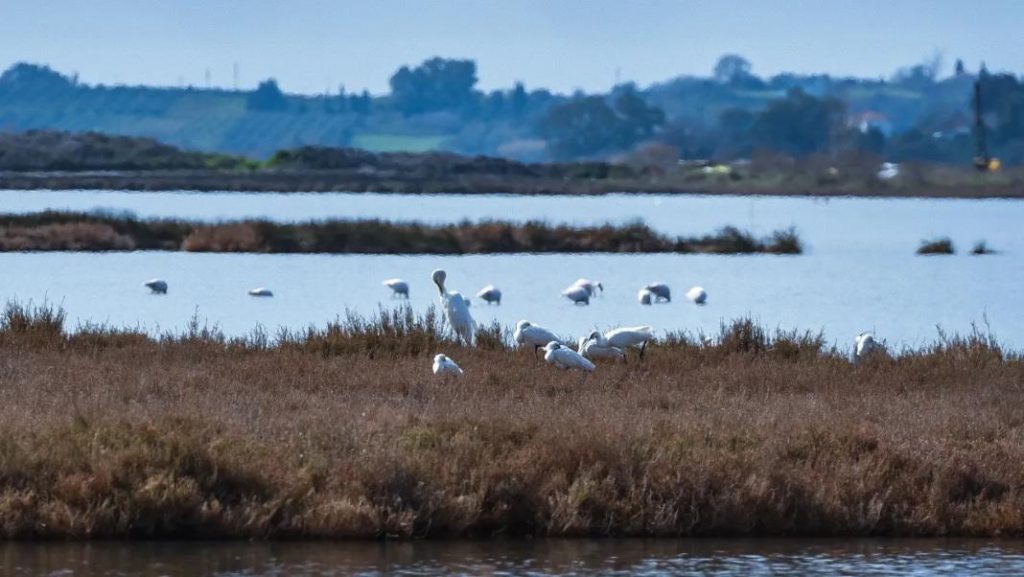Infographic: Οι 10 περιοχές της Ελλάδας που θα βρεθούν κάτω από το νερό μέχρι το 2050