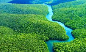 Βραζιλία: Ρεκόρ εκπομπών μεθανίου από την κτηνοτροφία ενόψει της COP30