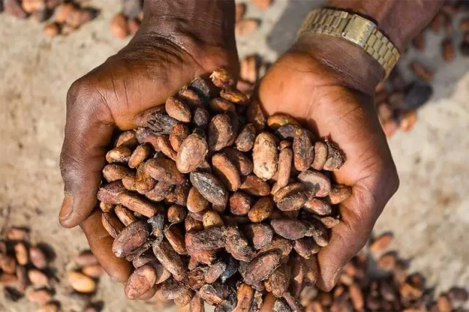 Η Food Foundation καλεί τη βιομηχανία τροφίμων σε δράση: Η απώλεια βιοποικιλότητας απειλεί οικονομίες και επενδύσεις