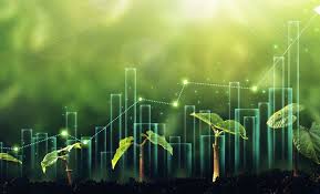 Hormonall: Ένα νέο βήμα για τη γυναικεία υγεία και τη βιώσιμη ανάπτυξη