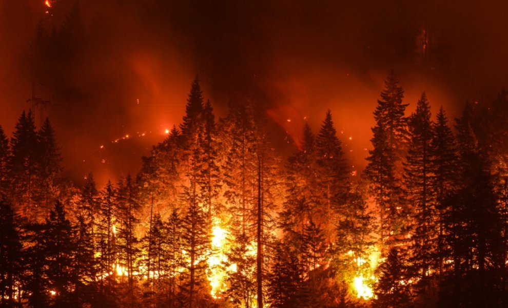 Πάνω από 8,8 εκατ. ευρώ οι αποζημιώσεις των ασφαλιστικών για τις πυρκαγιές του καλοκαιριού