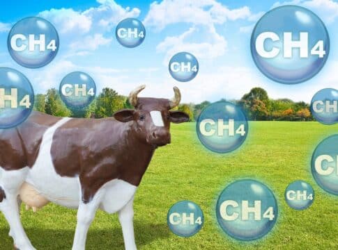 Η Nestlé αποχωρεί από την παγκόσμια συμμαχία για τη μείωση εκπομπών μεθανίου στη γαλακτοκομία