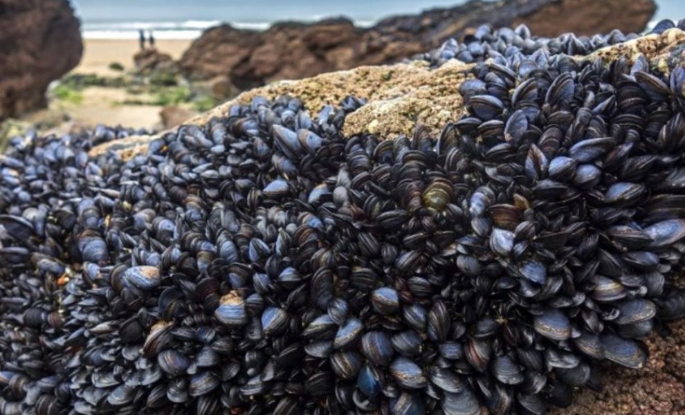 Μικροπλαστικά στη Μεσόγειο: Όταν ο τουρισμός απειλεί τη βιωσιμότητα των θαλασσών μας