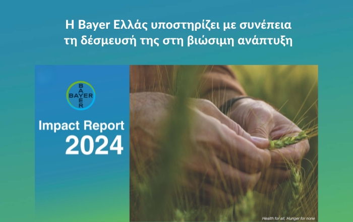 Η Bayer Ελλάς δημοσιεύει το Impact Report 2024: Στρατηγικός απολογισμός για Υγεία, Γεωργία και Βιώσιμη Ανάπτυξη