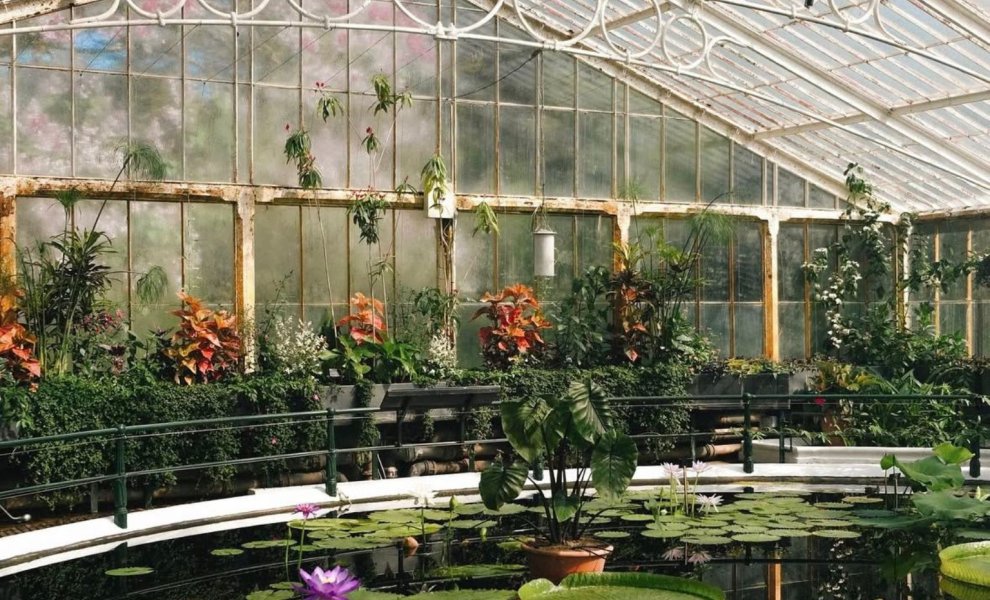Kew Gardens: προς τα πρώτα net-zero ιστορικά θερμοκήπια στον κόσμο με επένδυση £60 εκατ.