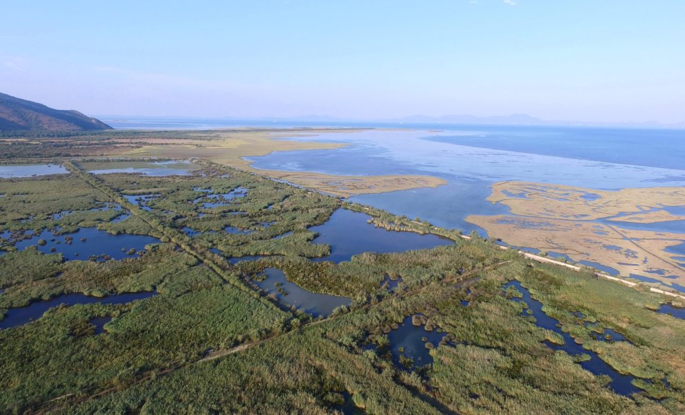 ESG και blockchain: Η νέα εποχή των ψηφιακών ομολόγων από DZ Bank και KfW