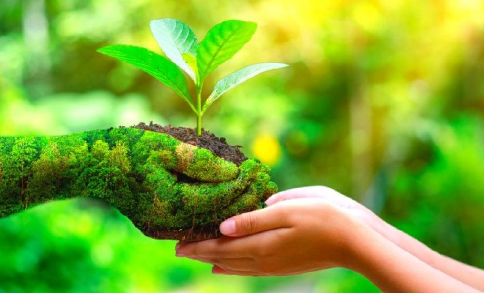 WWF: Οι μεγαλύτερες εταιρείες πολυτελείας της Γαλλίας υστερούν στην προσαρμογή στους κινδύνους της βιοποικιλότητας