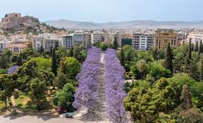 Αθήνα και κλιματική ανθεκτικότητα: Στην παγκόσμια πρωτοβουλία για τις πόλεις που προετοιμάζονται για τους 50°C