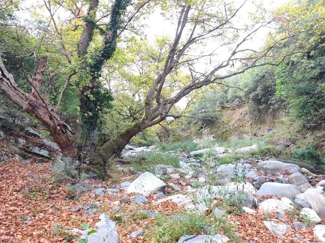 Το Κιλκίς επενδύει στον βιώσιμο τουρισμό – Πανελλήνια συνάντηση για τα μονοπάτια στο Πολύκαστρο