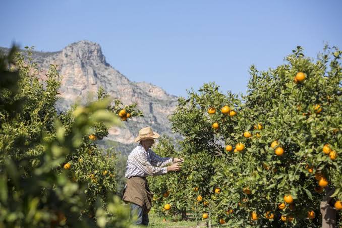 TAG GREECE: Νέα εποχή για την ελληνική γαστρονομία και τον αγροτουρισμό – Στο επίκεντρο η βιωσιμότητα
